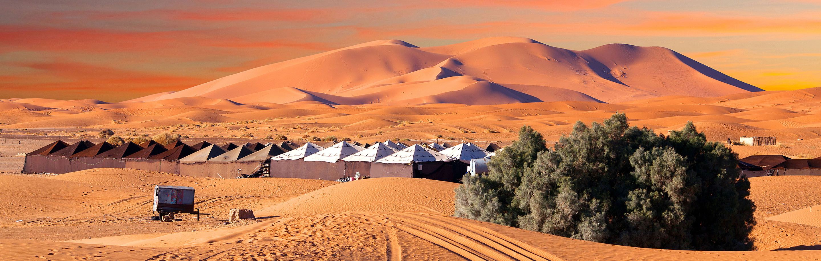 western sahra The latest tweets from western sahara (@wsrw) western sahara resource watch - we check who's behind morocco's plunder of occupied western sahara. western sahra The latest tweets from western sahara (@wsrw) western sahara resource watch - we check who's behind morocco's plunder of occupied western sahara.